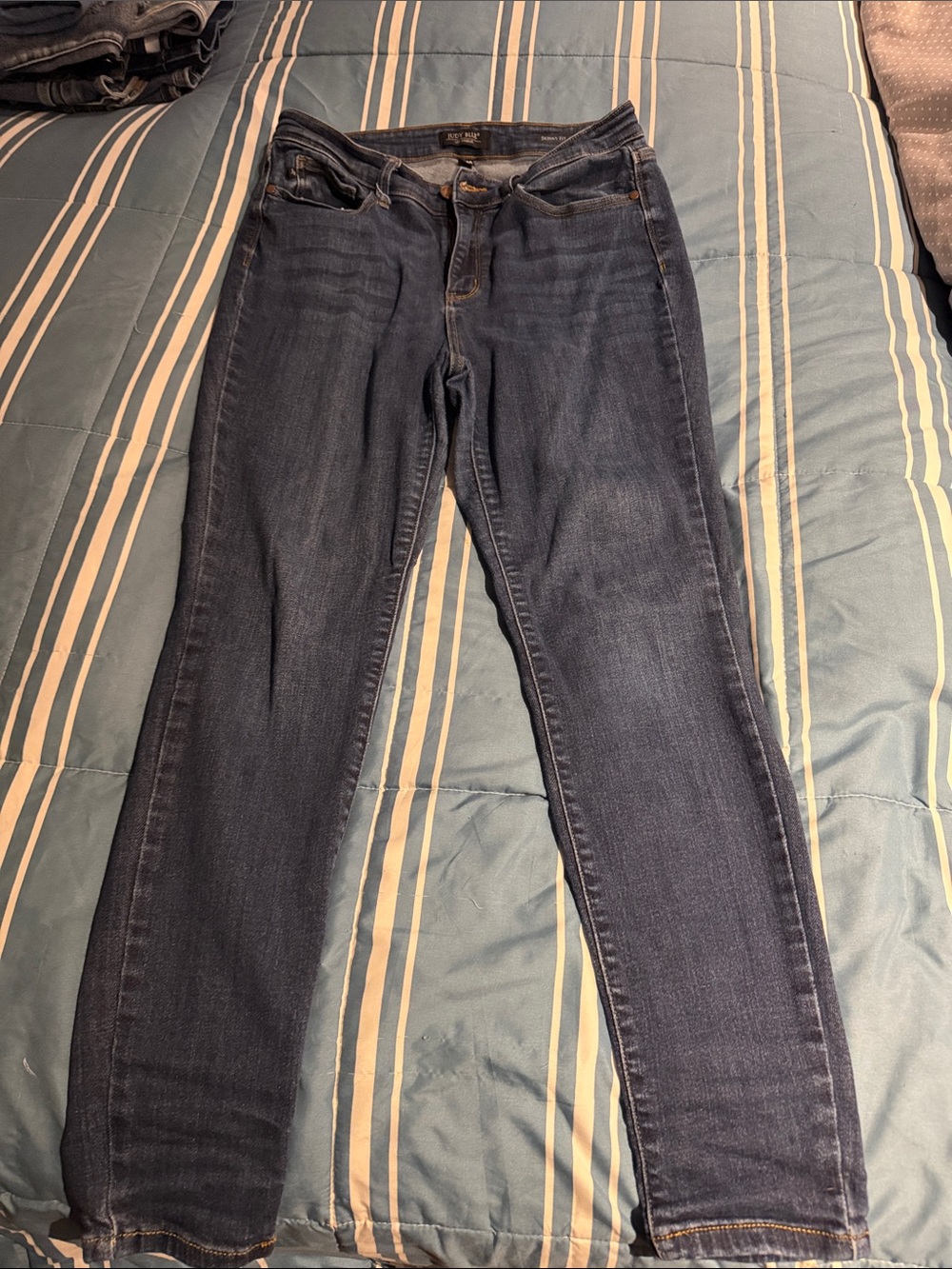 Judy Blue Indigo Skinny Jeans